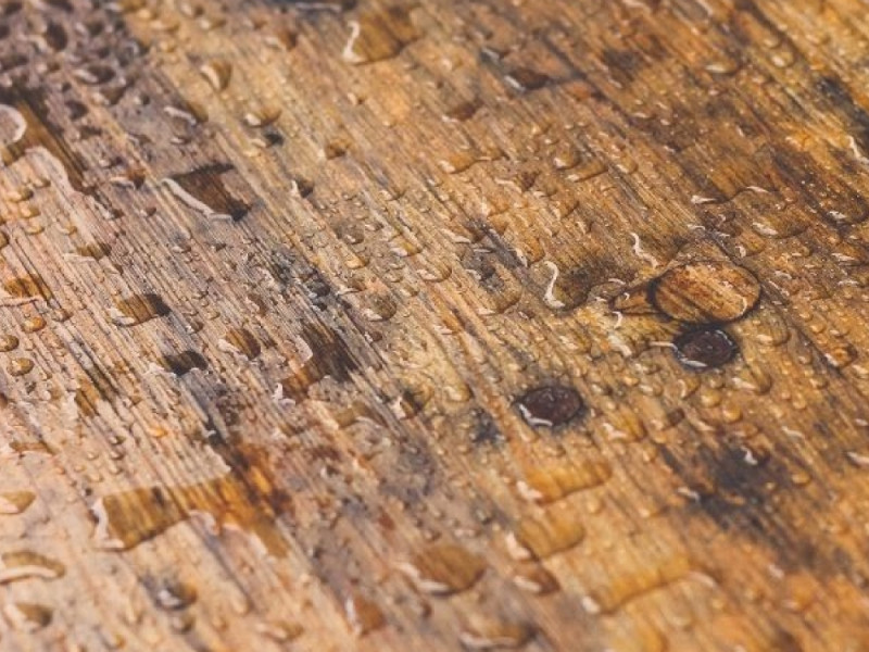 Độ ẩm ảnh hưởng tới gỗ như thế nào?
